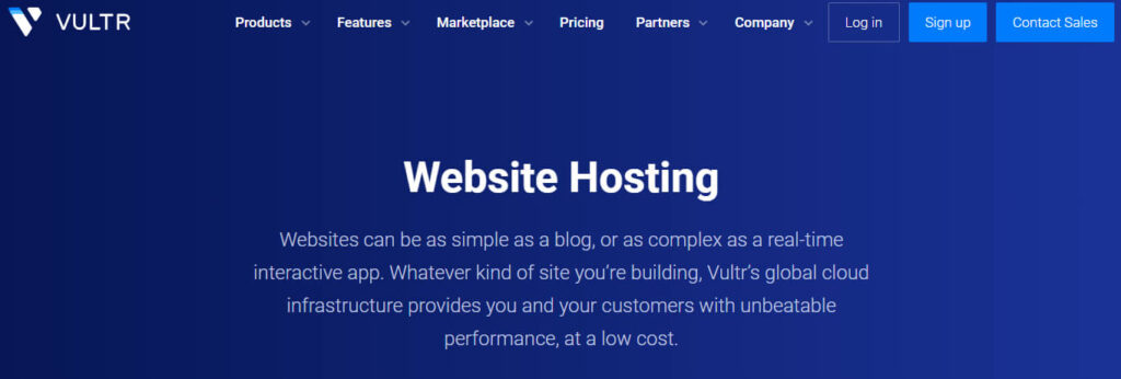 Best Web Hosting in Delhi